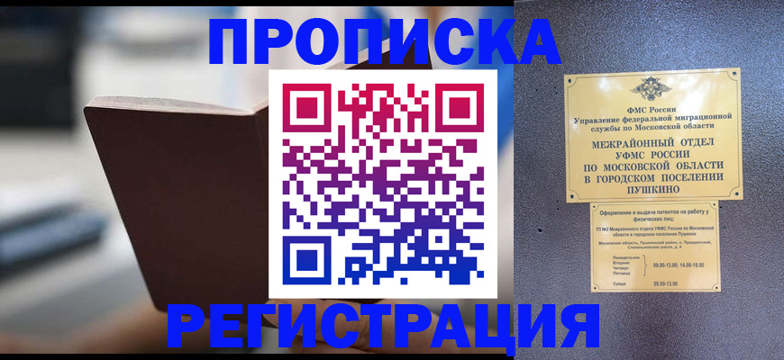прописка законно в Заринске